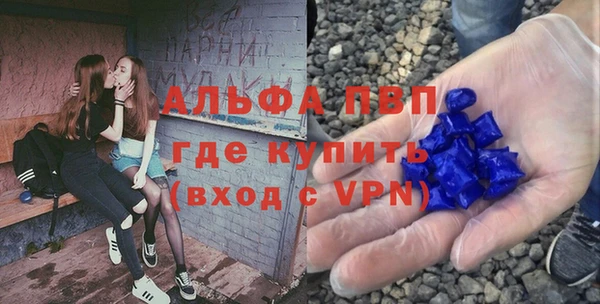 эйфоретик Аркадак