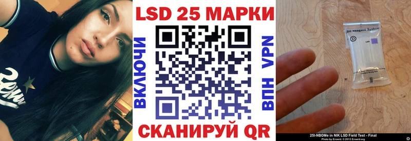 блэк спрут как зайти  купить наркотик  Железногорск  Марки N-bome 1,8мг 