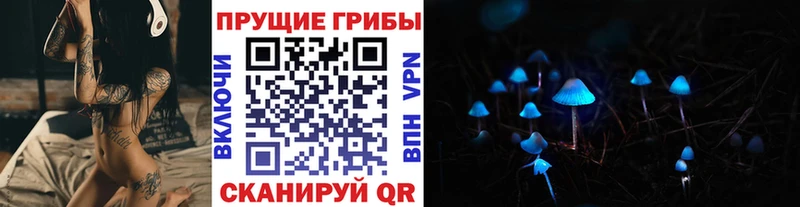 Псилоцибиновые грибы Psilocybe  Железногорск 